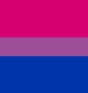 bi flag